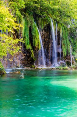Plitvice Ulusal Parkı 'ndaki Şelaleler