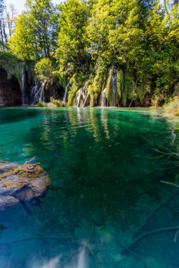 Bakir doğası Plitvice lakees Milli Parkı