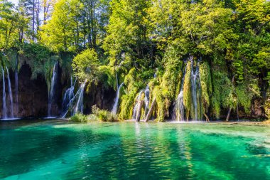Bakir doğası Plitvice lakees Milli Parkı