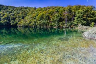 Bakir doğası Plitvice lakees Milli Parkı