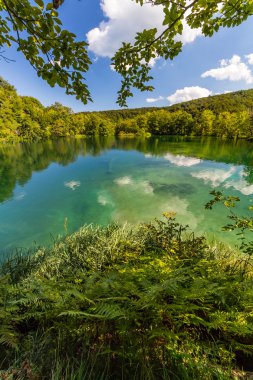 Bakir doğası Plitvice lakees Milli Parkı