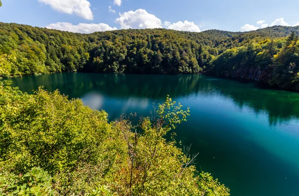 Девственная природа Плитвицких озер — стоковое фото