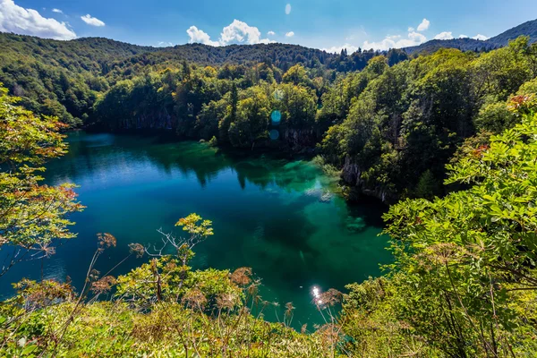 Érintetlen természet, a Plitvicei-lakees nemzeti park — Stock Fotó