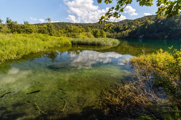 Naturaleza virgen del parque nacional de los lagos de Plitvice, Croacia — Foto de Stock