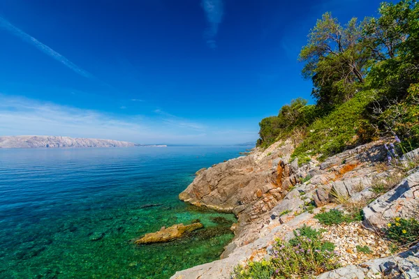 Bella costa e mare Adriatico — Foto Stock