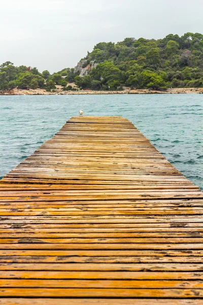 Masse en bois sur la plage — Photo