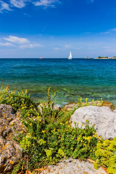 Das blaue Meer und der Himmel in Rovinj — Stockfoto