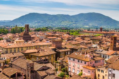 View over Italian town Lucca clipart
