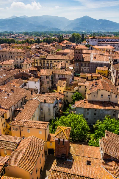 Vista de la ciudad italiana Lucca —  Fotos de Stock
