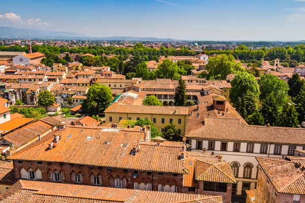 View over Italian town Lucca — Stock Photo, Image