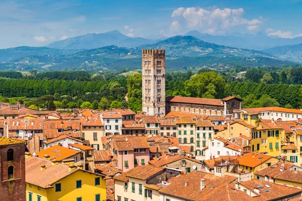 Vista sulla città italiana Lucca — Foto Stock