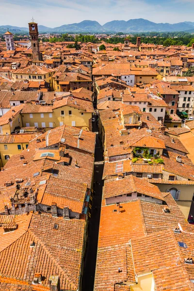 Vista de la ciudad italiana Lucca —  Fotos de Stock