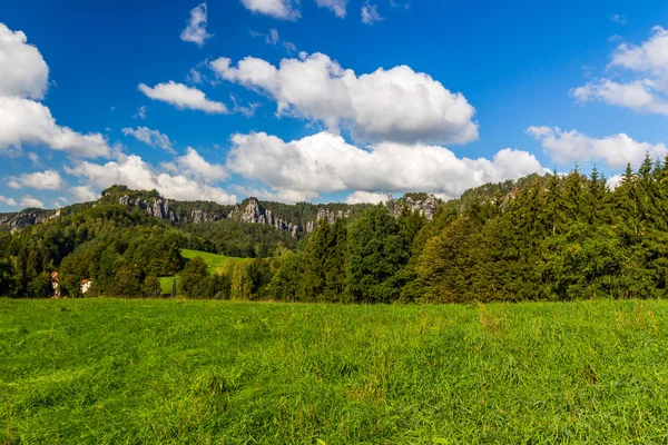 Panoramiczny pejzaż kolorowy żółto zielone wzgórza — Zdjęcie stockowe