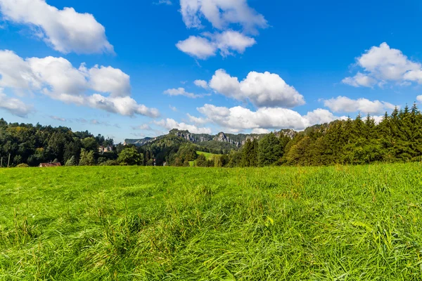 Paisaje panorámico de coloridas colinas amarillo-verdes —  Fotos de Stock