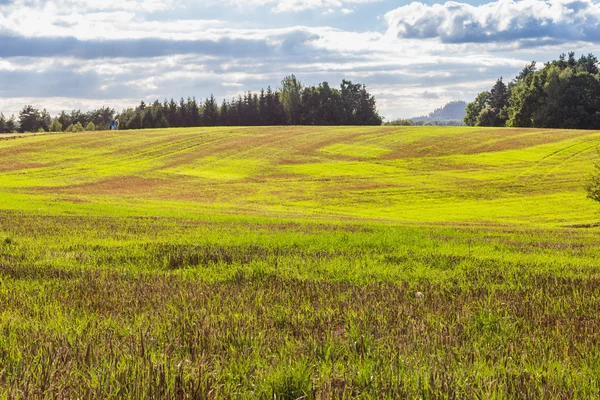 Paisagem panorâmica de colinas coloridas amarelo-verdes — Fotografia de Stock