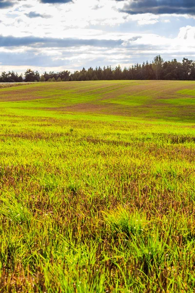 Paisagem panorâmica de colinas coloridas amarelo-verdes — Fotografia de Stock