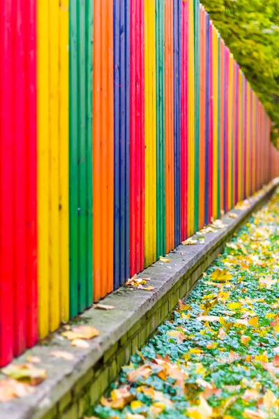 Multi colored rainbow wooden fence in autumn — Stock Photo, Image