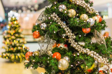 Noel ağacı, Noel kavramı.