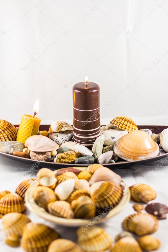 seashells collection with candels