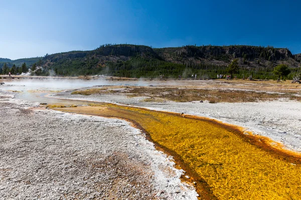 Saffier zwembad in het Nationaal Park Yellowstone — Stockfoto