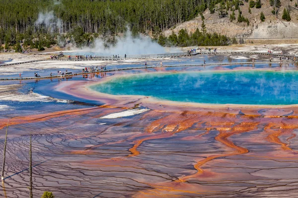 Grand Prismatic Spring in Yellowstone National Park