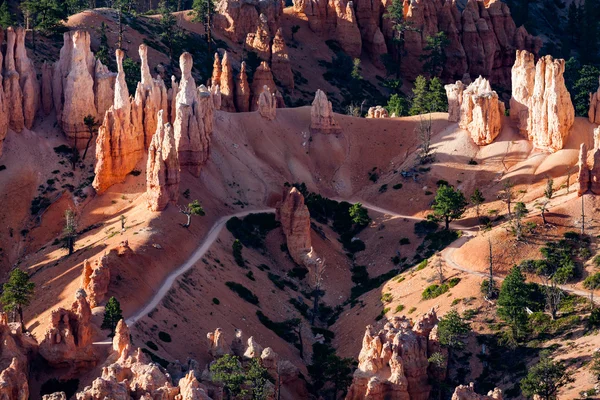 Kilátás a Bryce Canyon Nemzeti Park túraútvonalak — Stock Fotó