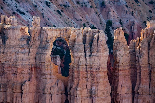 Θέα στο εθνικό πάρκο Bryce Canyon μονοπάτια πεζοπορίας — Φωτογραφία Αρχείου