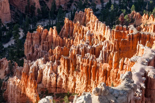 Widok na szlaki w Parku Narodowego Bryce Canyon — Zdjęcie stockowe