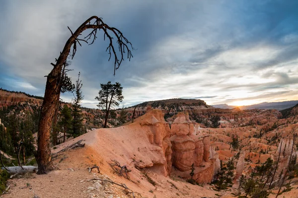 Nascer do sol no Parque Nacional Bryce Canyon — Fotografia de Stock