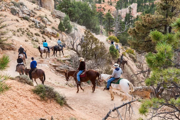 ブライス ・ キャニオンのハイキング コースで馬に乗る人 — ストック写真