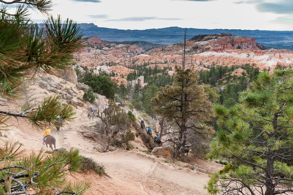 People riding on horses on the hiking trails in Bryce Canyon — Stock Photo, Image