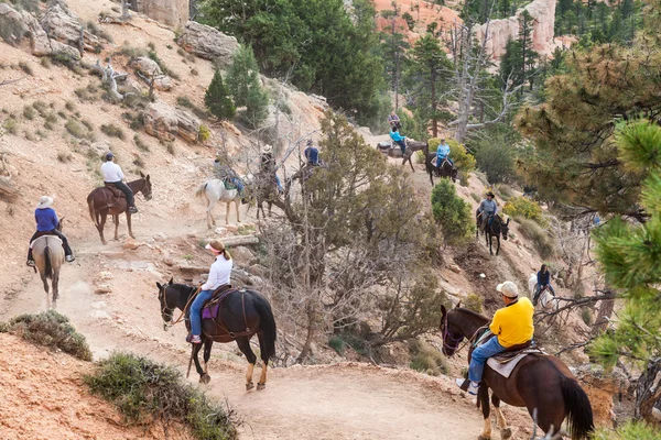 Personas montando a caballo en las rutas de senderismo en Bryce Canyon — Foto de Stock
