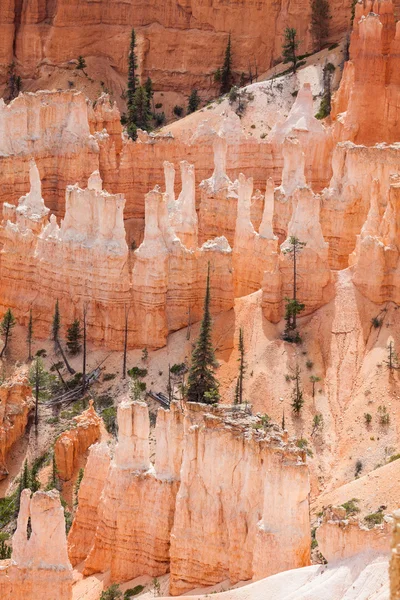Widok na szlaki w Parku Narodowego Bryce Canyon — Zdjęcie stockowe