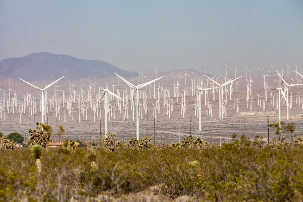 Windmill farm in Mojave desert — Stock Photo, Image