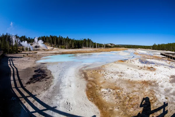 Norris gejzír a Yellowstone Nemzeti Parkban — Stock Fotó