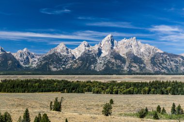 Alanlar ve dağlar Grand Teton Milli Parkı'nda sayısı