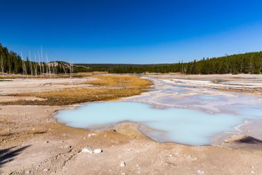 Norris Şofben Yellowstone Milli Parkı içinde