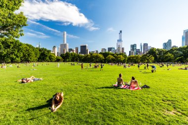 Selfie ve büyük çayır Central Park manzarasının Midtown New York'a alarak kız