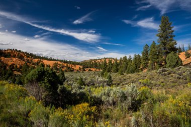 Dixie National Forest - Red Canyon clipart