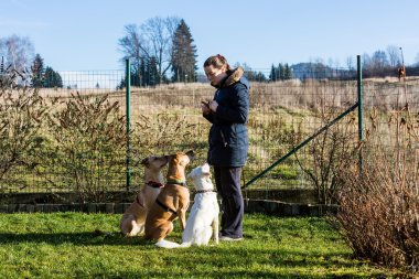 Kadın yıkamaları köpekler dışında