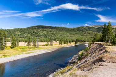 Grand Teton Milli Parkı ve yılan nehir manzarası