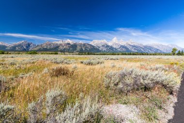 Alanlar ve dağlar Grand Teton Milli Parkı'nda sayısı