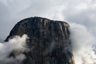 Yosemite Ulusal Parkı 'ndaki El Capitan.