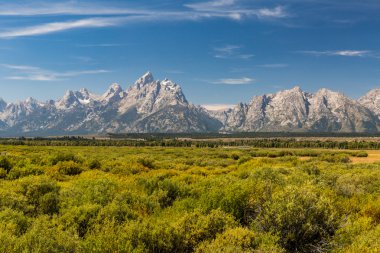 Alanlar ve dağlar Grand Teton Milli Parkı'nda sayısı