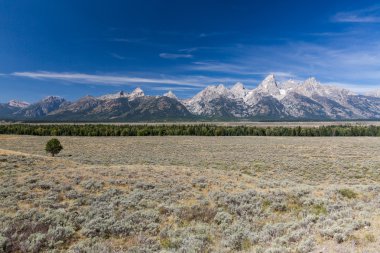 Alanlar ve dağlar Grand Teton Milli Parkı'nda sayısı