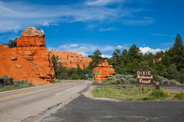 Dixie Ulusal Ormanı - Red Canyon