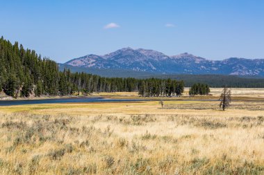 Yellowstone Milli Parkı