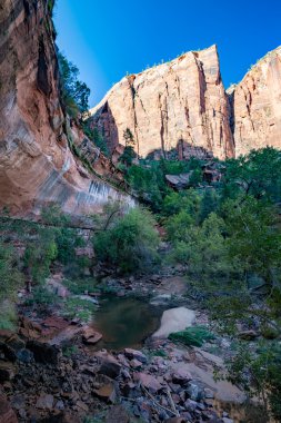 Zümrüt havuzları Zion National Park