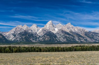 Alanlar ve dağlar Grand Teton Milli Parkı'nda sayısı