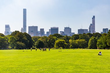 Büyük çayır Central Park Midtown New York manzarası